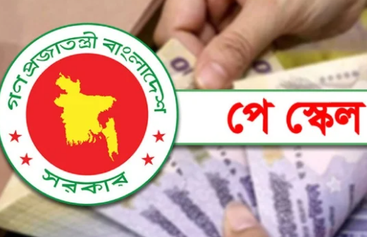 বর্তমানে সরকার প্রায় ১৪ লাখ চাকরিজীবী ও ৯ লাখ পেনশনভোগীর জন্য বছরে প্রায় ১ লাখ ৩১ হাজার কোটি টাকা ব্যয় করছে। নতুন পে স্কেল পুরোপুরি কার্যকর হলে এ খাতে সরকারের ব্যয় উল্লেখযোগ্যভাবে বেড়ে যাবে। উল্লেখ্য, সর্বশেষ ২০১৫ সালে অষ্টম জাতীয় পে স্কেল দুই ধাপে বাস্তবায়ন করা হয়েছিল। ওই সময় প্রথমে মূল বেতন এবং পরের বছর বিভিন্ন ভাতা কার্যকর করা হয়। বিভি